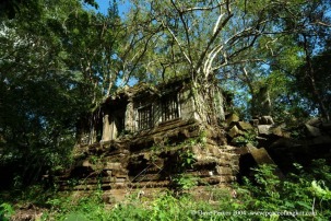 Peace of Angkor photo adventure tours siem reap cambodia beng mealea jungle temple tour